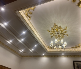 MẪU 65